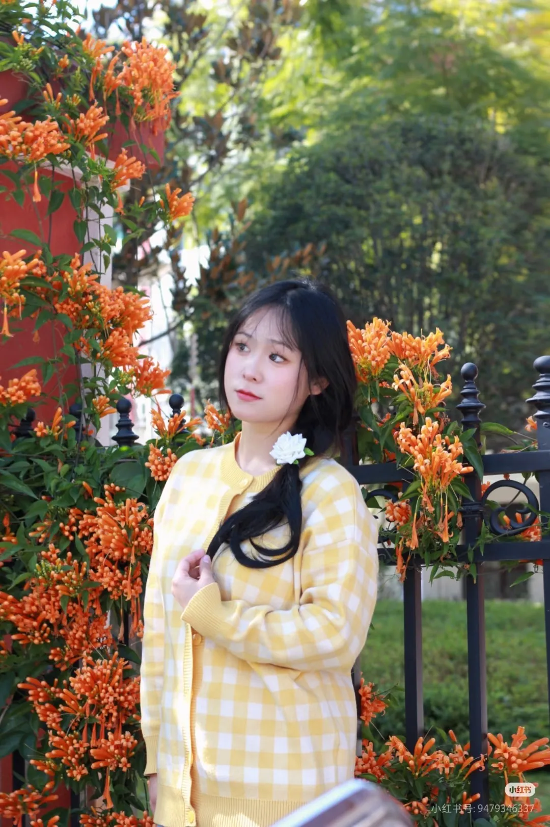 P184 RALPH LAUREN Ralph Lauren six-color classic small label embroidery plaid long-sleeved chain knitted sweater girls top Color: Pink Yellow Gray Red Blue Black Size: S M L Material: Cotton Weight: 450g